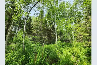 00 Boise Cascade Road, Dummer, NH 03579 - Photo 14