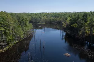 10 Sargent Rd, Brookline, NH 03033 - Photo 58