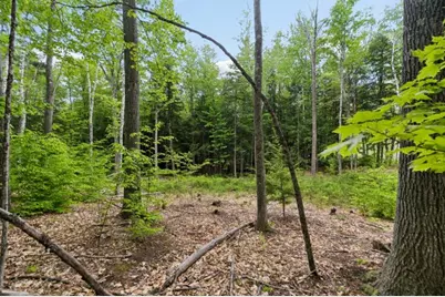 00 Corno Road #Lot 3, Canaan, NH 03741 - Photo 8