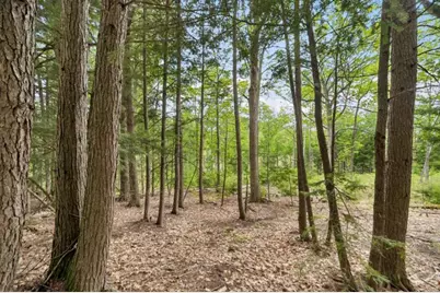 00 Corno Road and Canaan Street #All 8 Lots, Canaan, NH 03741 - Photo 6