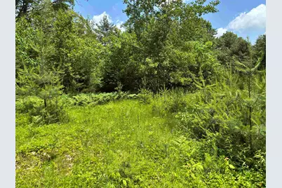 00 Simonsville Road, Andover, VT 05143 - Photo 2
