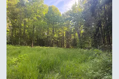 0 Roaring Brook Road, Barton, VT 05822 - Photo 12