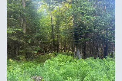 0 Roaring Brook Road, Barton, VT 05822 - Photo 2