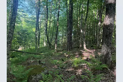 0 Roaring Brook Road, Barton, VT 05822 - Photo 6
