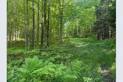 0 Roaring Brook Road, Barton, VT 05822 - Photo 4