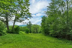 163 Maple Ridge Rd, Sandwich, NH 03259 - Photo 4