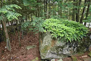 637 Marmot Ln, Grantham, NH 03753 - Photo 24