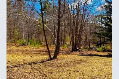 Tm 407 L 35 Shem Valley Road, Alexandria, NH 03222 - Photo 6