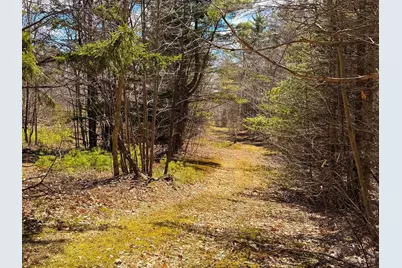 Tm 407 L 35 Shem Valley Road, Alexandria, NH 03222 - Photo 10