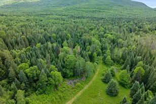 354 Gray Rd, Columbia, NH 03576 - Photo 1
