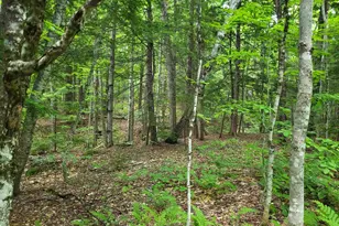 269 Knowles Hill Rd, Alexandria, NH 03222 - Photo 54