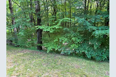 1336 Washburn Road, Alexandria, NH 03222 - Photo 6