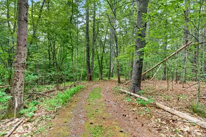 173 North Road, Deering, NH 03244 - Photo 40