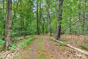 173 N Rd, Deering, NH 03244 - Photo 40