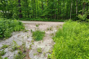 12 Frescoln Rd, Wentworth, NH 03282 - Photo 1