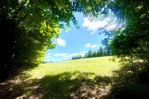 107 Greenfield Rd, New Boston, NH 03070 - Photo 6