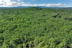 365 Middle Rd, Tuftonboro, NH 03816 - Photo 20