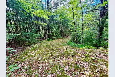 Nh Route 175, Campton, NH 03223 - Photo 4