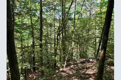 Nh Route 175, Campton, NH 03223 - Photo 14