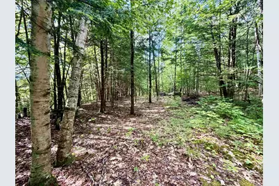 Nh Route 175, Campton, NH 03223 - Photo 8