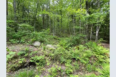 Dole School House Road, Washington, NH 03280 - Photo 6
