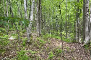 Dole School House Rd, Washington, NH 03280 - Photo 1