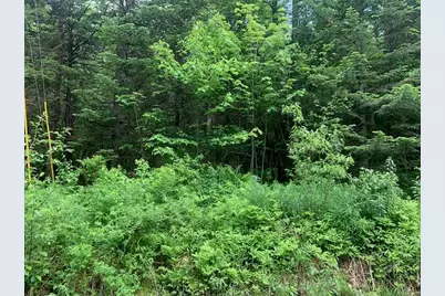 Tbd Griffin Road, Stewartstown, NH 03576 - Photo 1