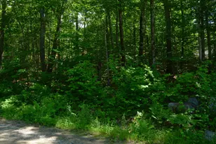 Scott Dr, Alton, NH 03810 - Photo 1