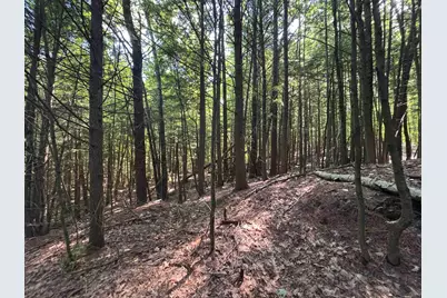 00 Windfall Road, Northfield, NH 03276 - Photo 2