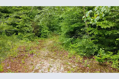 0 Grafton Turnpike Road, Canaan, NH 03741 - Photo 12