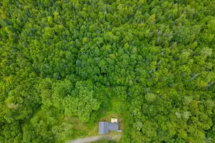 391 Bradley Hill Rd, Bath, NH 03740 - Photo 56