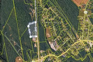 White Mountain Hwy, Wakefield, NH 03872 - Photo 1
