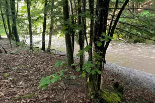 466 Estey Ln, Windsor, VT 05089 - Photo 40