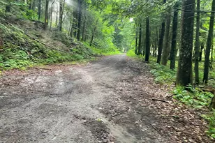 466 Estey Ln, Windsor, VT 05089 - Photo 50