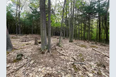 Map 212, Lot 49 Durrell Mountain Road, Belmont, NH 03220 - Photo 4