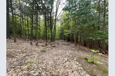 Map 212, Lot 49 Durrell Mountain Road, Belmont, NH 03220 - Photo 8