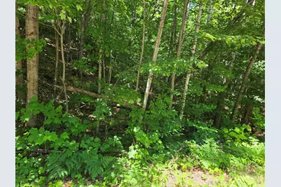 King Road and Route 3, Campton, NH 03223 - Photo 4