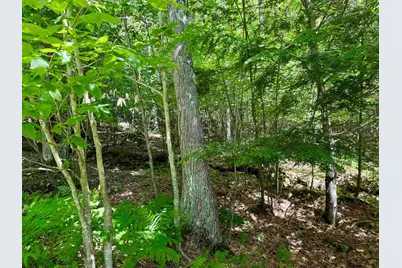 175 Sunset Rock Road, Lebanon, NH 03766 - Photo 14