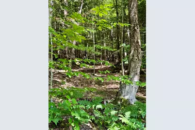 175 Sunset Rock Road, Lebanon, NH 03766 - Photo 24