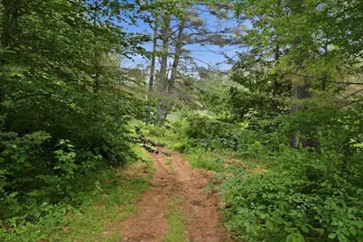 119 Dorchester Road, Rumney, NH 03266 - Photo 16