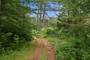 119 Dorchester Rd, Rumney, NH 03266 - Photo 16