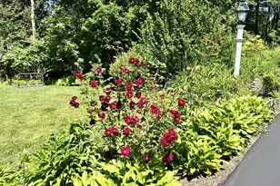 78 Wellington Dr, Chesterfield, NH 03462 - Photo 50