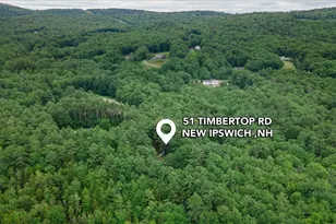 51 Timbertop Rd, New Ipswich, NH 03071 - Photo 40