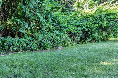 555 Straw Hill Road, Manchester, NH 03104 - Photo 4