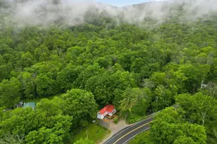 1 Basin Brook Rd, Rumney, NH 03266 - Photo 44
