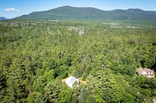 407 Dandiview Rd, Conway, NH 03860 - Photo 48