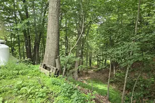 208 Nh Route 3A, Hill, NH 03243 - Photo 2