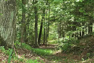 208 Nh Route 3A, Hill, NH 03243 - Photo 10