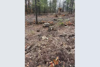 12 Sugarloaf Drive #10, Ossipee, NH 03814 - Photo 4