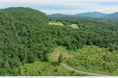 00 Birch Tree Lane #Lot 1, Cambridge, VT 05464 - Photo 4
